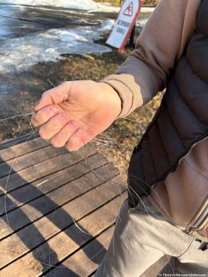 В Белгороде в Пикник-парке отдыхающие нашли оптоволокно от беспилотника