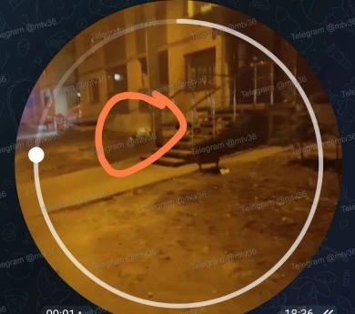 Труп человека в простыне нашли под окнами воронежской многоэтажки