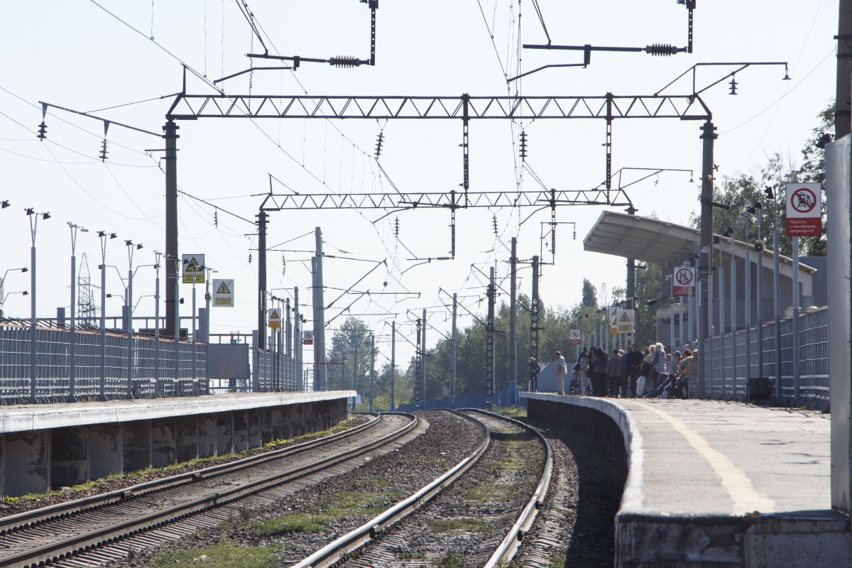 Дебошир устроил переполох в поезде в Воронежской области и оскорбил полицейского