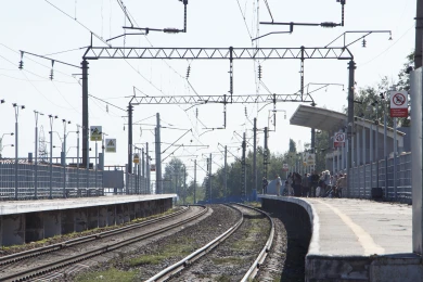 Дебошир устроил переполох в поезде в Воронежской области и оскорбил полицейского