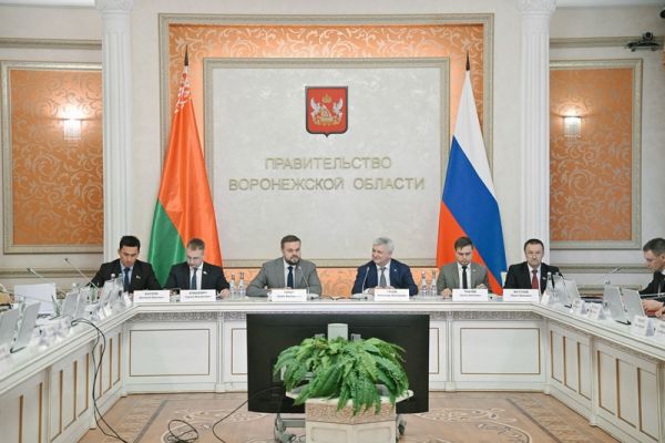 Воронеж и Беларусь планируют совместно развивать новое спортивное направление на стыке физических и цифровых форматов