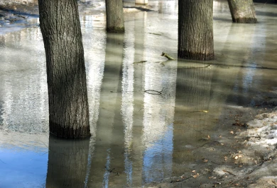 Прогноз погоды в Воронеже на среду, 18 марта