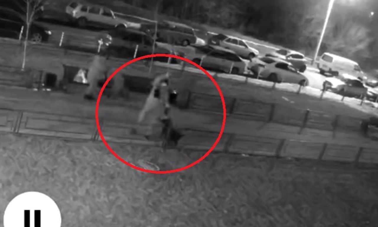 Большая собака вырвалась у&nbsp;хозяина и&nbsp;накинулась на&nbsp;маленького пса на&nbsp;поводке (ВИДЕО)