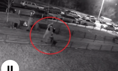 Большая собака вырвалась у хозяина и накинулась на маленького пса на поводке (ВИДЕО)