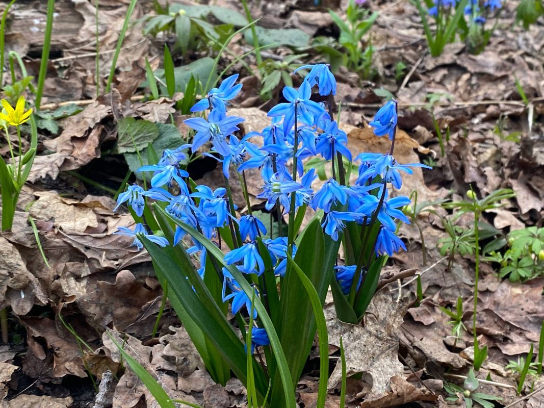 Потепление до&nbsp;+13° ждёт воронежцев в&nbsp;ближайшее время