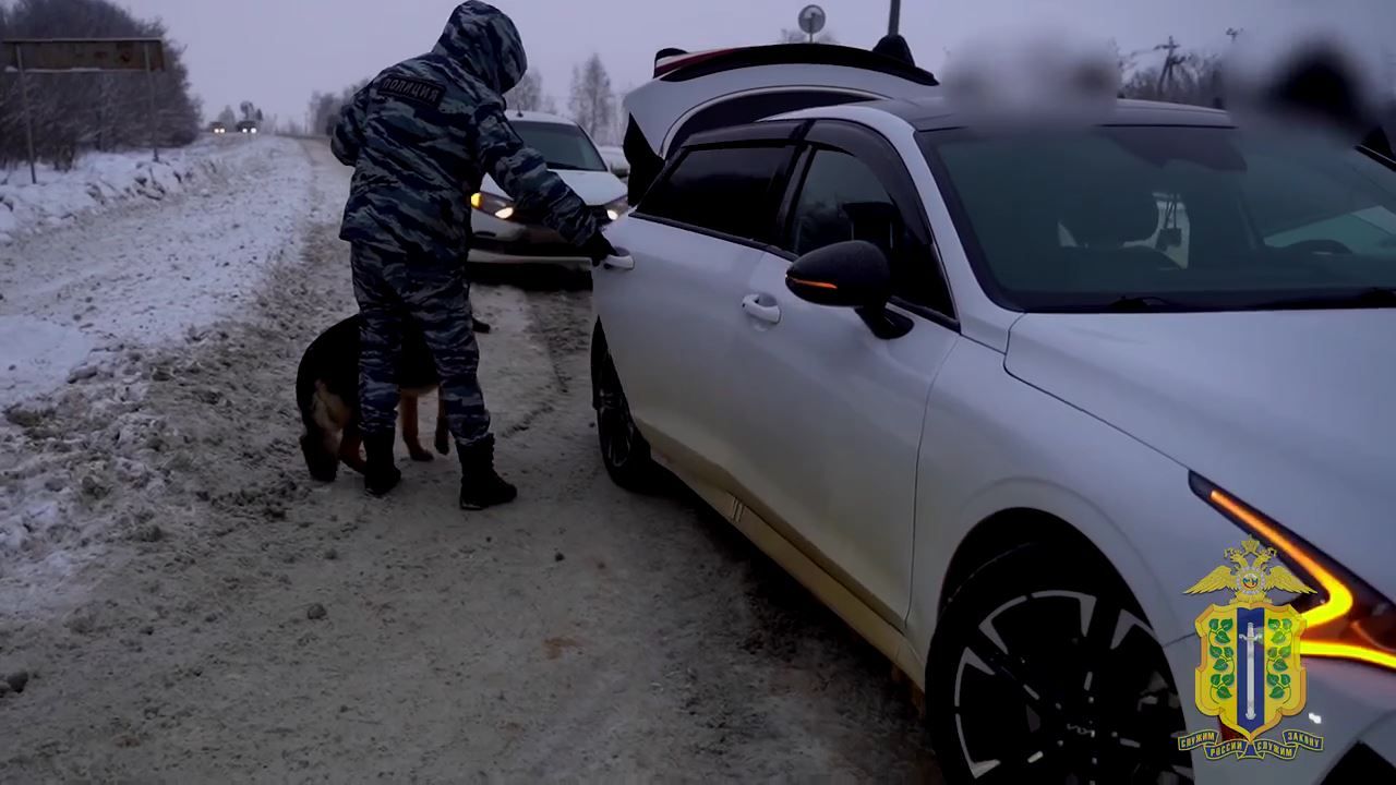 Овчарка Сильва нашла 5 кг наркоты в тайниках автомобиля под Липецком