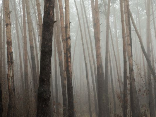 Опасное погодное явление надвигается на Воронежскую область 