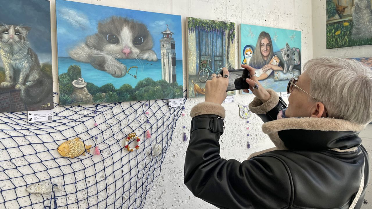 Лапки, ушки и&nbsp;хвосты. Самая милая выставка открылась в Воронеже&nbsp;