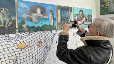 Лапки, ушки и хвосты. Самая милая выставка открылась в Воронеже 