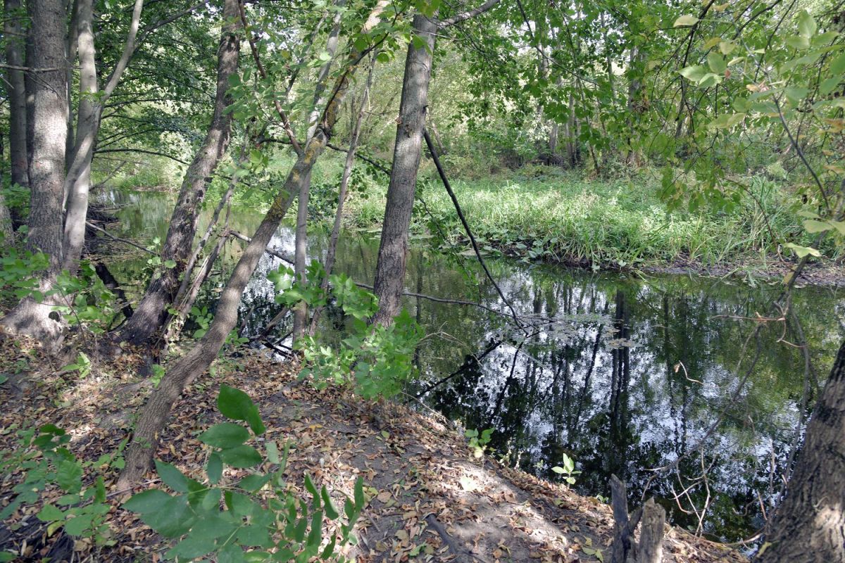 Жители коттеджного посёлка под&nbsp;Воронежем могут лишиться права собственности