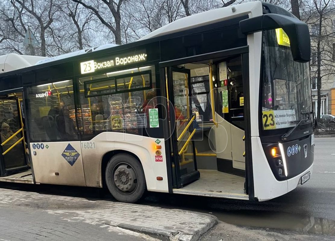 «Блин, Игорёк!» На&nbsp;вопиющее поведение пассажира в&nbsp;автобусе пожаловались воронежцы