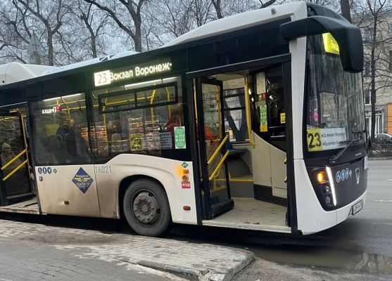 «Блин, Игорёк!» На вопиющее поведение пассажира в автобусе пожаловались воронежцы
