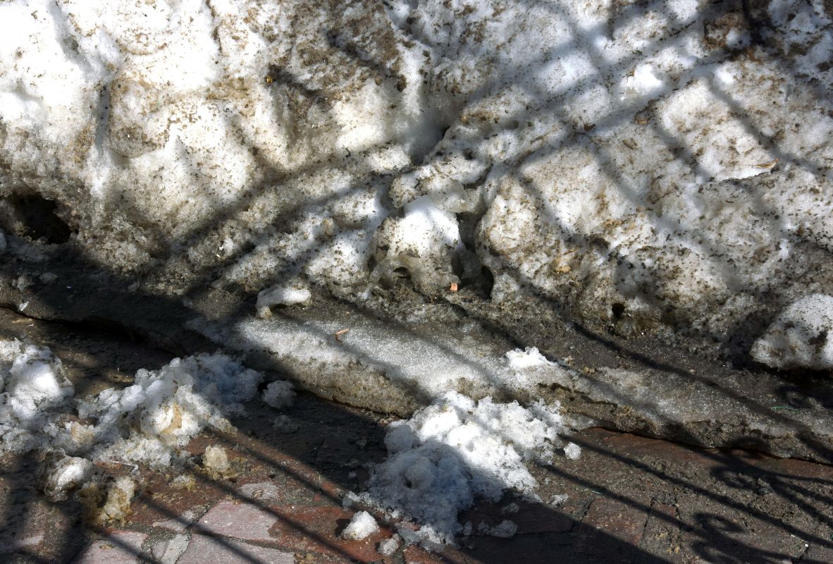 Прогноз погоды в&nbsp;Воронеже на&nbsp;пятницу, 20 марта