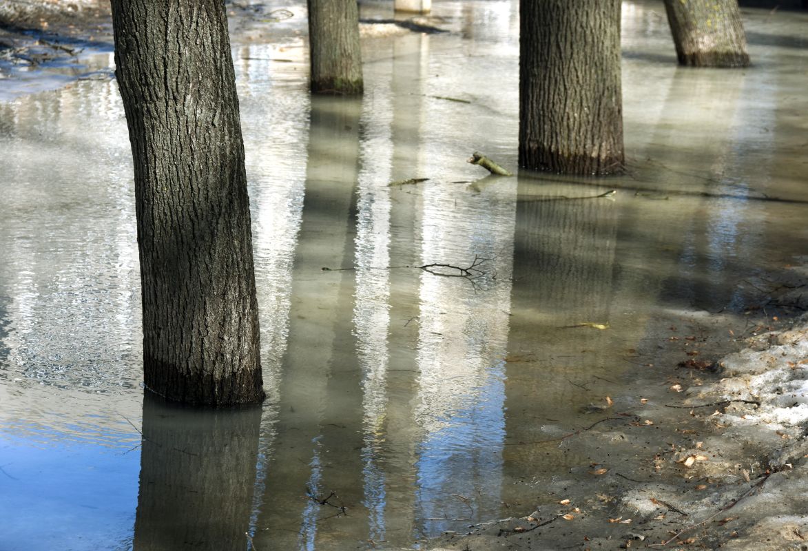 Вернётся ли тепло? Какая погода будет в&nbsp;Воронеже на&nbsp;выходных