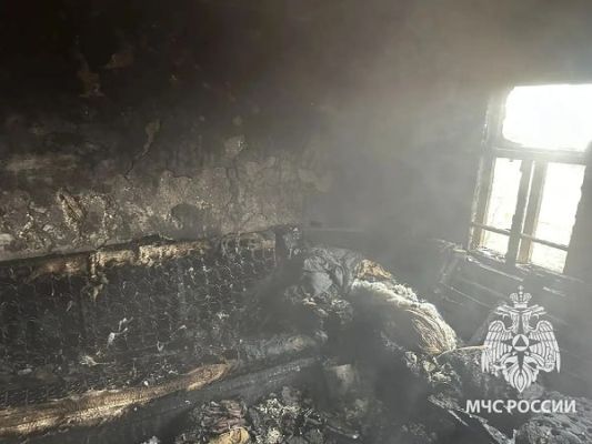 Назвали причину страшного пожара, унесшего жизнь мужчины в Воронежской области