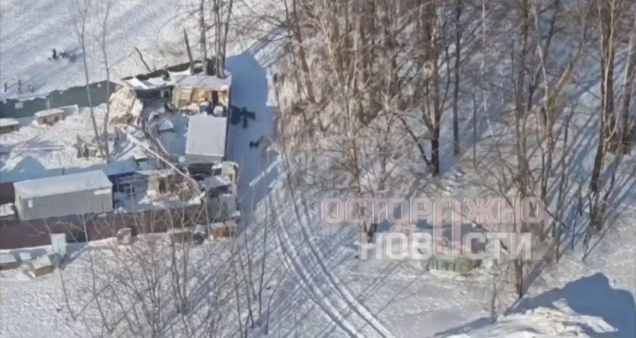 «Трупы собак в&nbsp;водохранилище». Воронежцы пожаловались Собчак на&nbsp;приют «Дора»