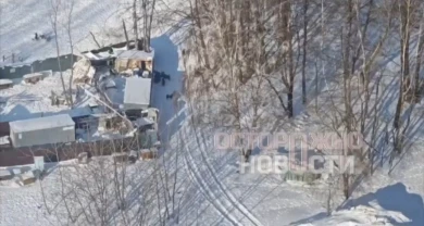 «Трупы собак в водохранилище». Воронежцы пожаловались Собчак на приют «Дора»