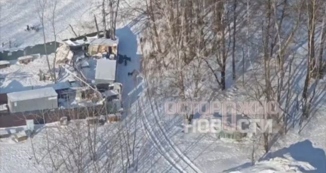 «Трупы собак в водохранилище». Воронежцы пожаловались Собчак на приют «Дора»