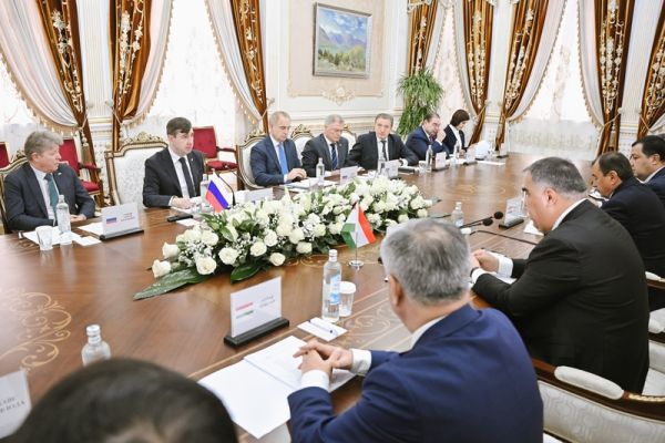 Воронежская область укрепит сотрудничество в АПК, промышленности и науке с Таджикистаном 