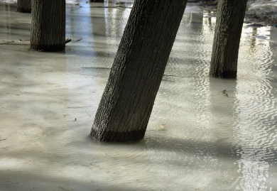 Прогноз погоды в Воронеже на воскресенье, 22 марта