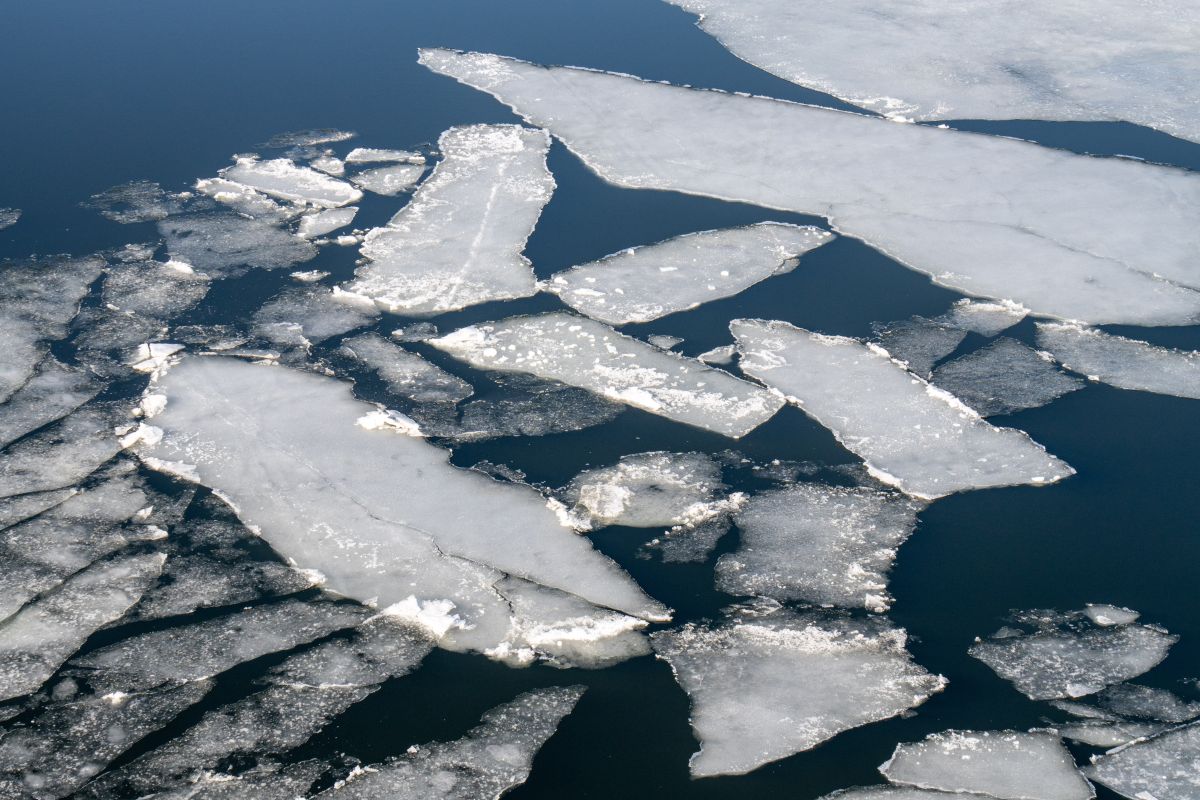 Труп нашли в воронежской реке