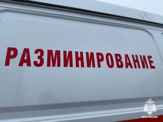 Путин распорядился создать новое пиротехподразделение на базе белгородского МЧС