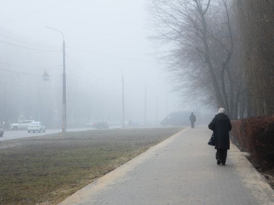 Жёлтый уровень погодной опасности объявили в Воронежской области