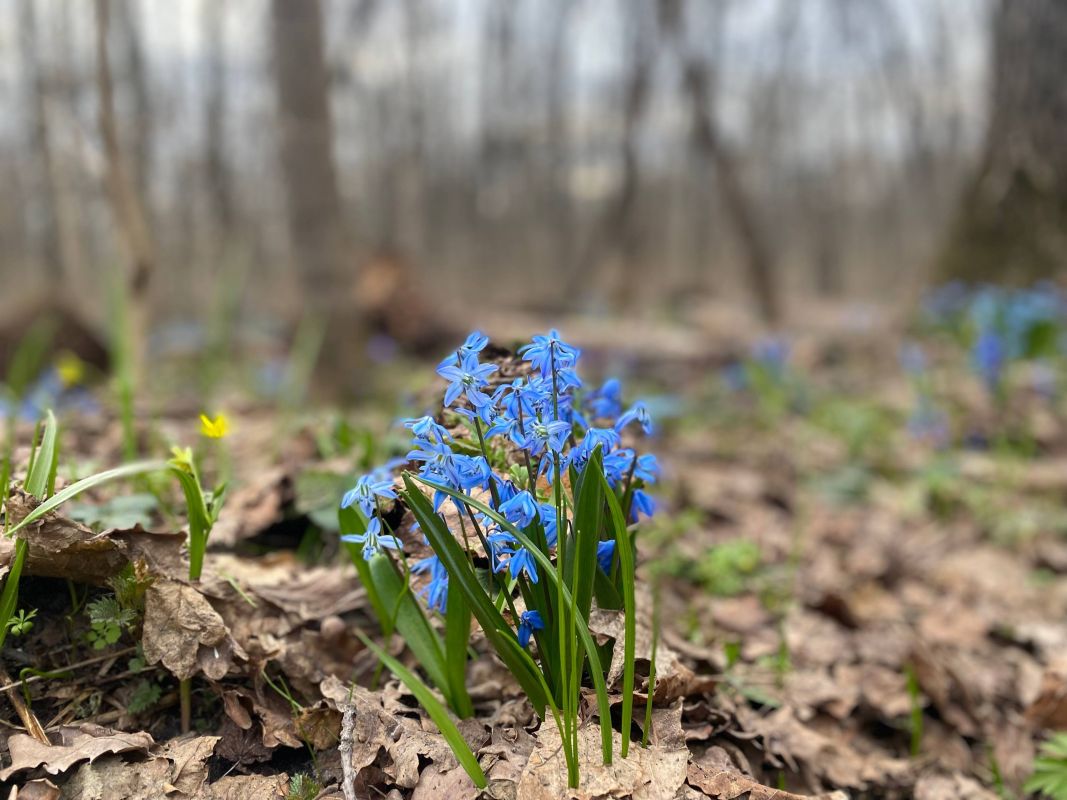 Выяснилось, когда в Воронеже потеплеет до +12°