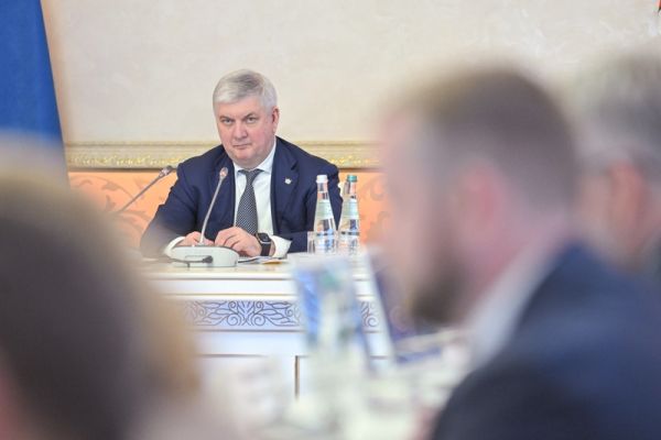 Воронежский губернатор поручил тщательно проверять качество обработки территорий региона от клещей и комаров  
