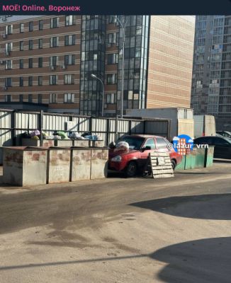 «Совсем с ума сошли». Самую роскошную находку у помойки показали на фото в Воронеже