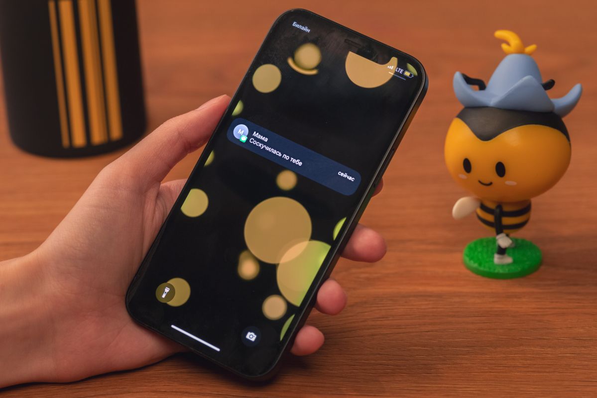 К услугам связи Билайна теперь можно подключиться в&nbsp;МФЦ &nbsp;