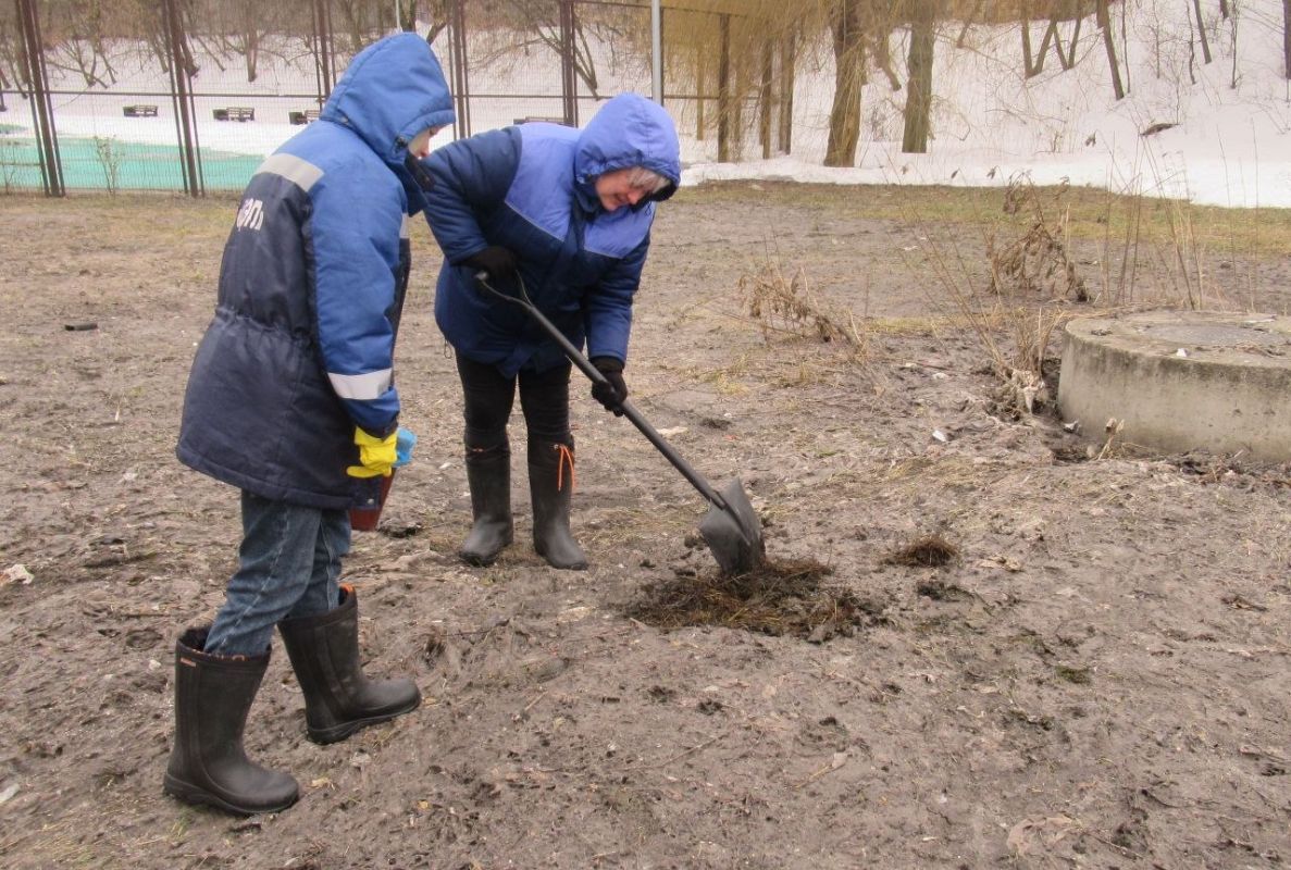 Опасные вещества нашли липецкие экологи в урочище Каменный лог