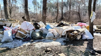 Плюшкин-вредитель, захламляющий лес, привлёк внимание воронежских экологов
