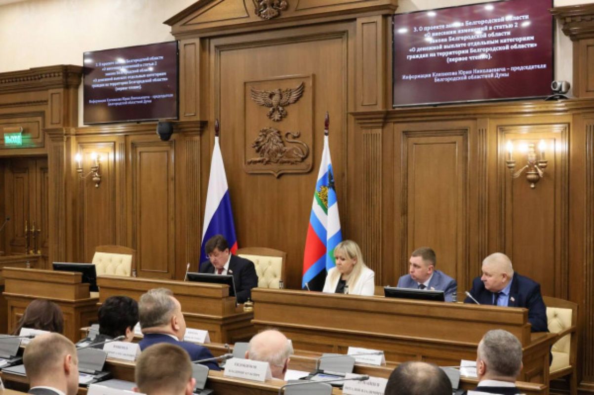 Белгородцы могут окончательно лишиться права отзывать депутатов