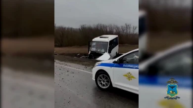Водитель опрокинул автобус под Белгородом, пытаясь объехать собаку на дороге