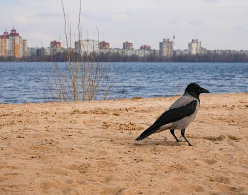 Прогноз погоды в Воронеже на субботу, 28 марта