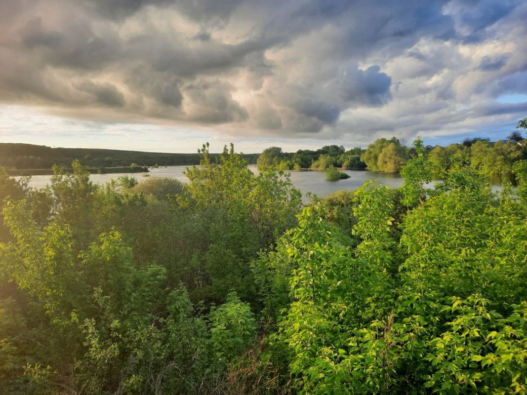 Можно снимать куртки. Потепление до +19º грядёт на Воронежскую область&nbsp;