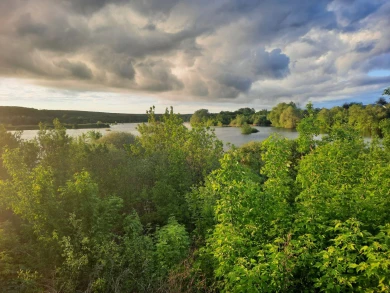 Можно снимать куртки. Потепление до +19º грядёт на Воронежскую область 