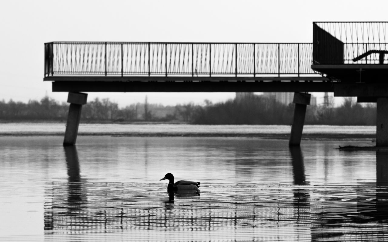 20-градусное тепло и дожди нагрянут в Воронежскую область в марте&nbsp;