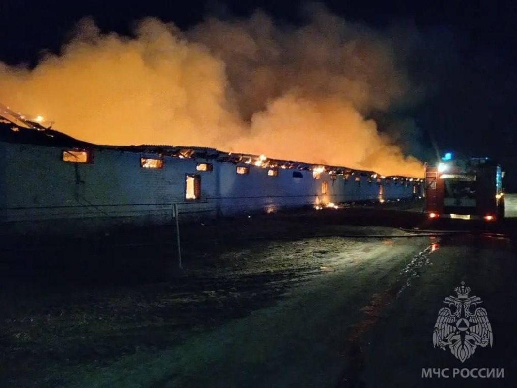 Тысячи кур погибли в огне на птицефабрике в Липецкой области