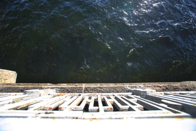 Стала известна личность женщины, тело которой нашли у моста в Воронеже