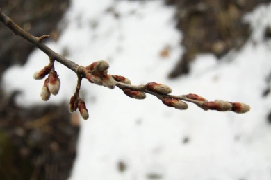 Выяснилось, ждёт ли воронежцев новый рекорд по жаре в ближайшее время 