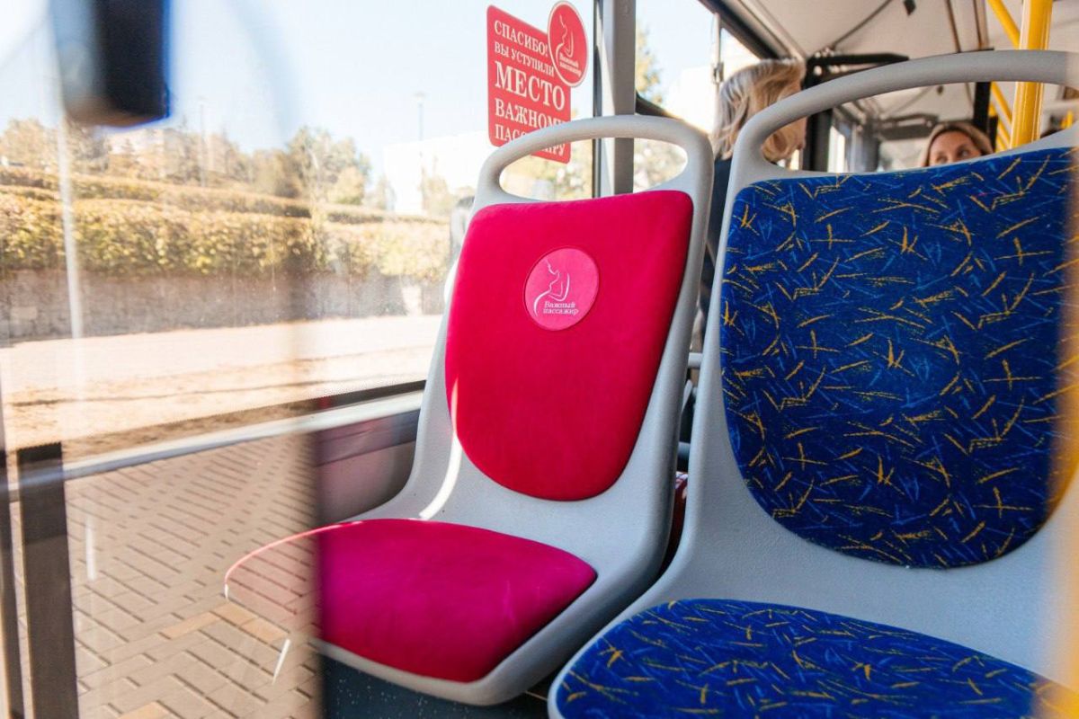 Розовые кресла в 383 липецких автобусах не защитили беременных от равнодушия
