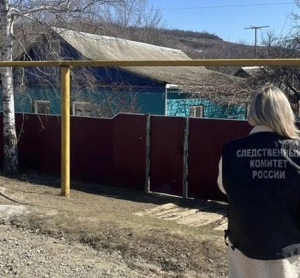 Мужчина избил молотком пенсионера в Воронежской области