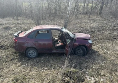 Водитель погиб, ещё один человек пострадал в жёстком ДТП с деревом