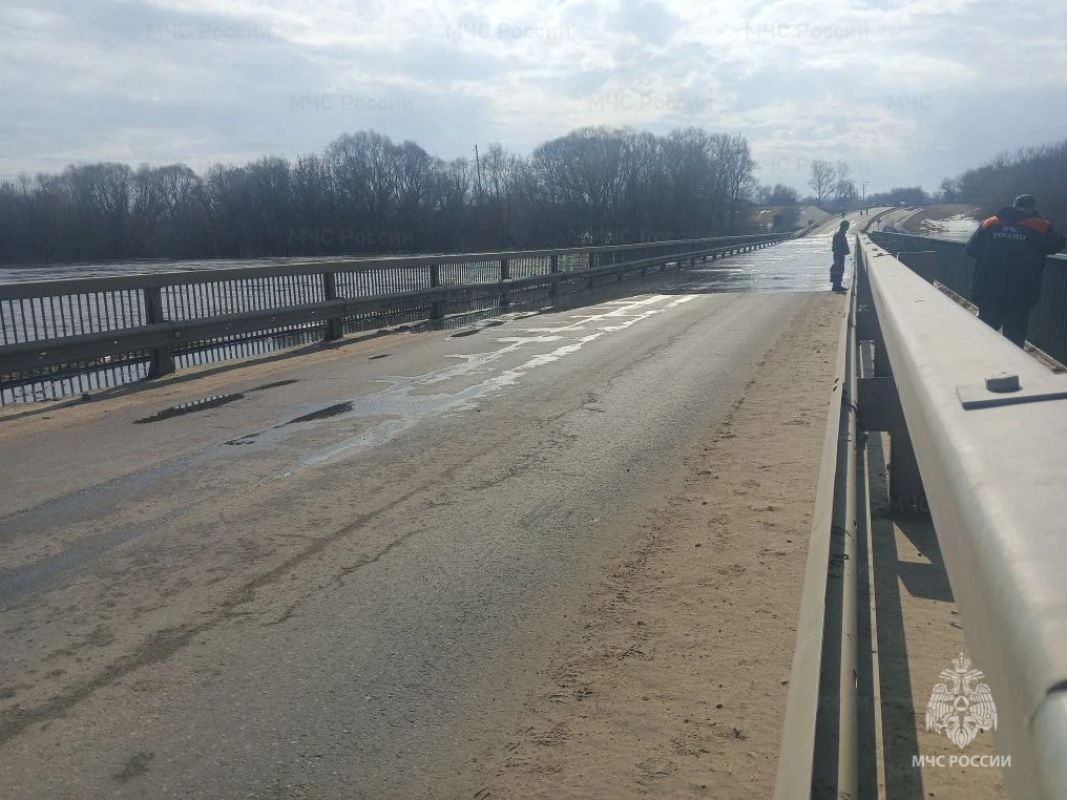 В Липецкой области река вышла из берегов и затопила мост