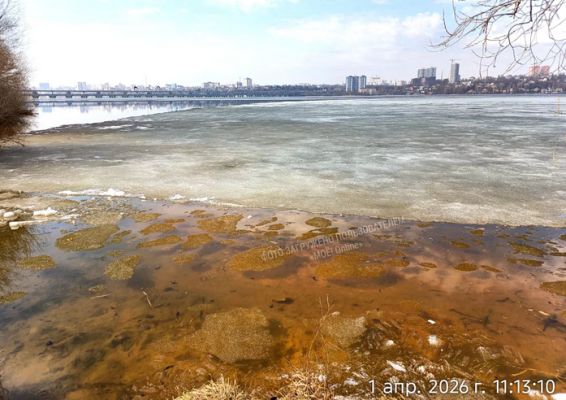 Зелёный лёд на водохранилище удивил воронежцев 