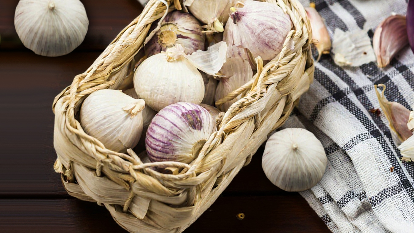 Четыре подкормки чеснока за сезон