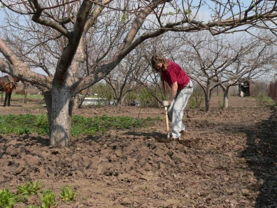Десять главных дел на дачном участке, которые нужно успеть в апреле