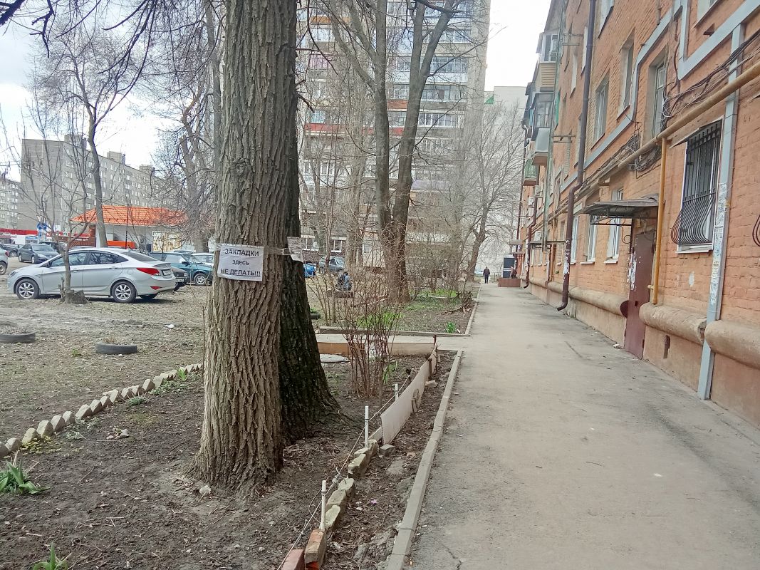 «Здесь закладки не&nbsp;делать!» Воронежские бабушки выставили наркоманам условие